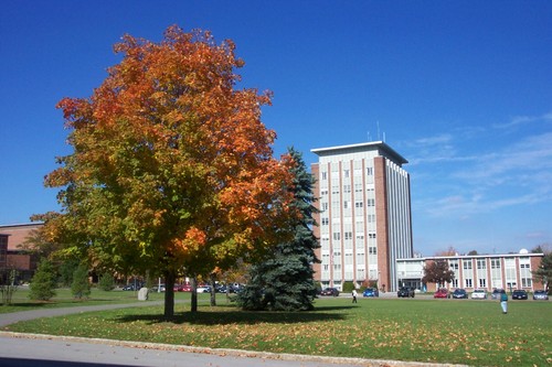 纽约州立大学宾汉姆顿大学Binghamton University SUNY