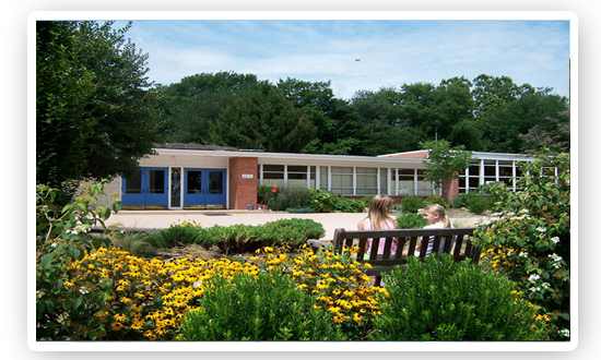 华盛顿华德福学校  Washington Waldorf School