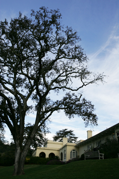 布兰森中学 The Branson School
