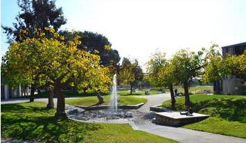 匹泽学院 Pitzer College