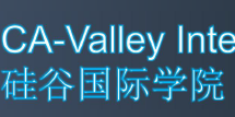 VAlley International Academy 硅谷国际学院