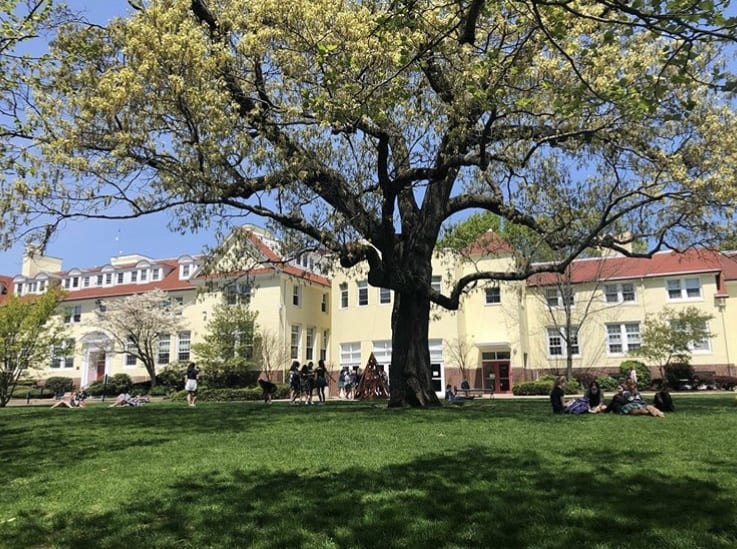 林肯中学Lincoln School